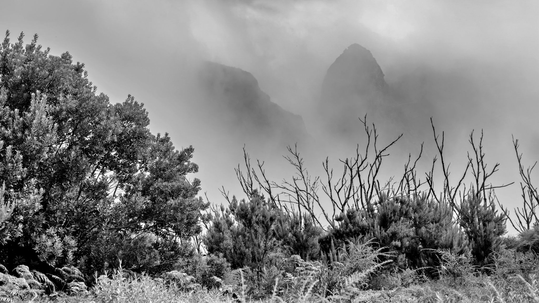 20191017 121606  San Sebastian   Benchijigua